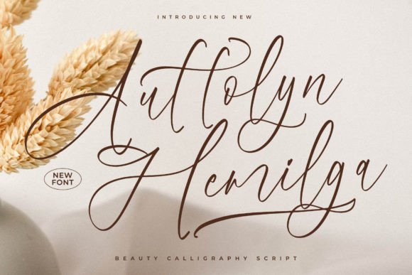 Auttolyn Hemilga: A Handwritten Typeface for Modern Branding
