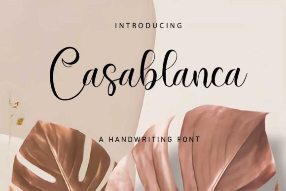 Casablanca: A Script Amp That Earns Its Place