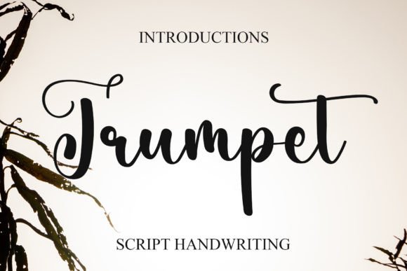 Trumpet Script Font for Small Business Branding